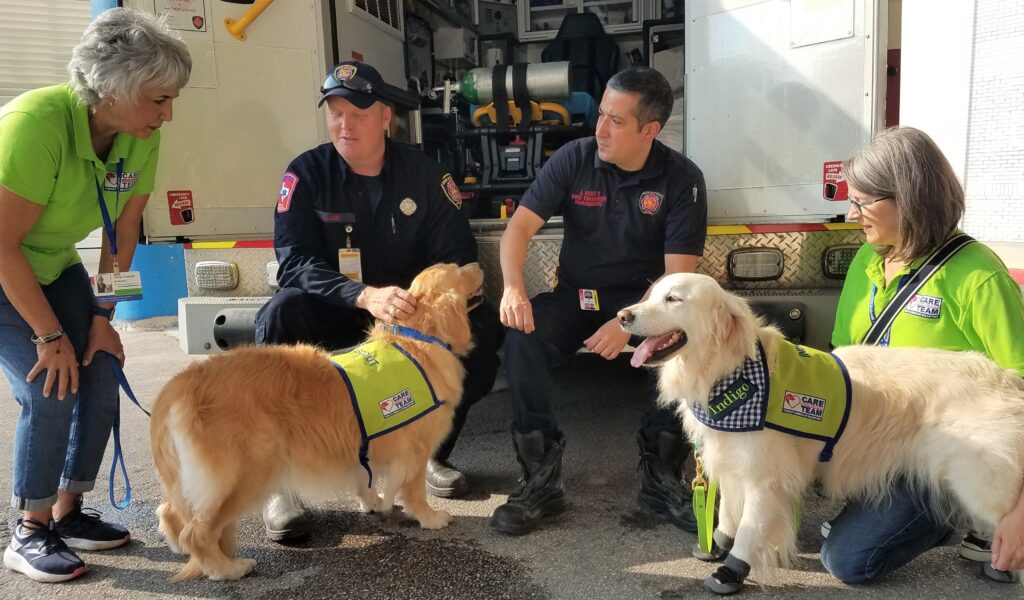 Two Paramedics with two teams with Golden Retrievers