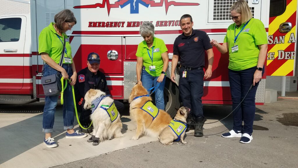 One Paramedic with three teams with Golden Retrievers and a pug